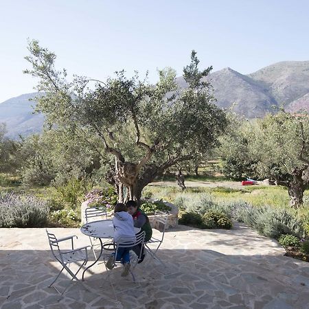 Kavoulakos Studios Skoutarion Exterior photo