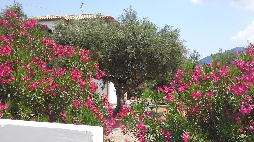 Kavoulakos Studios Skoutarion Exterior photo